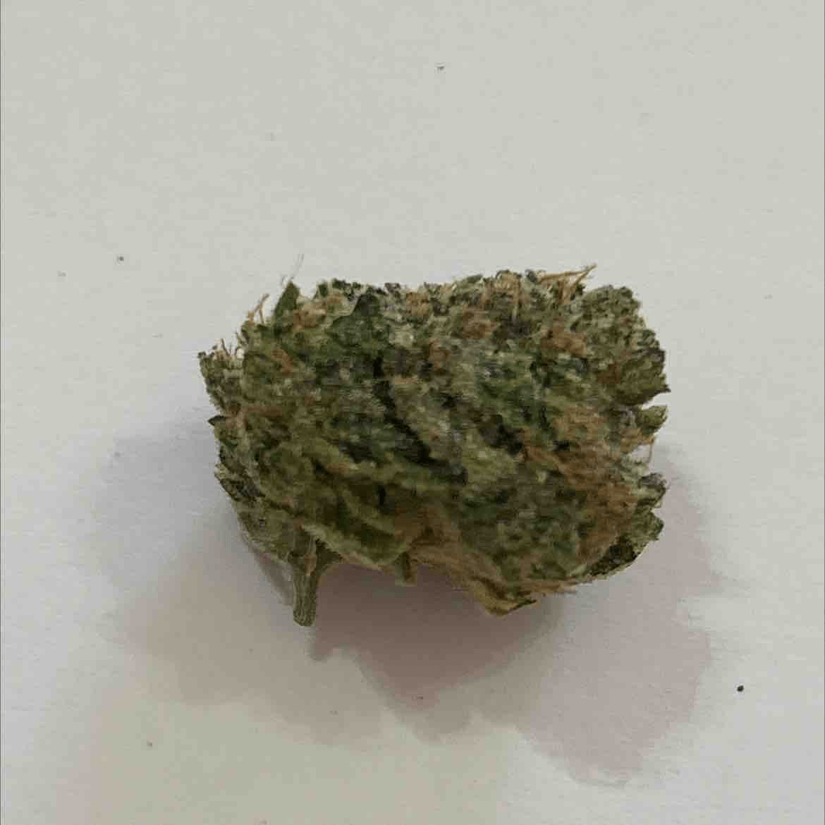 Zkittlez Revenge - ec